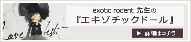 エキゾチックドールレッスン