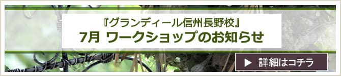 グランディール信州長野校ワークショップのお知らせ