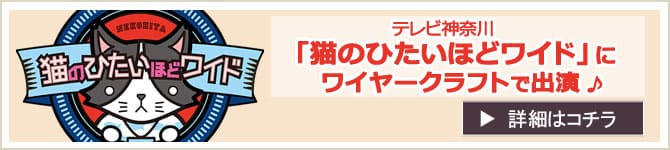 「アート気分な秋!ワイヤークラフトで秋を嗜む」