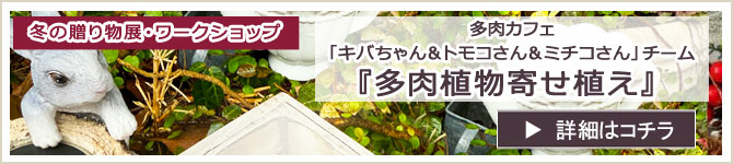 多肉カフェ