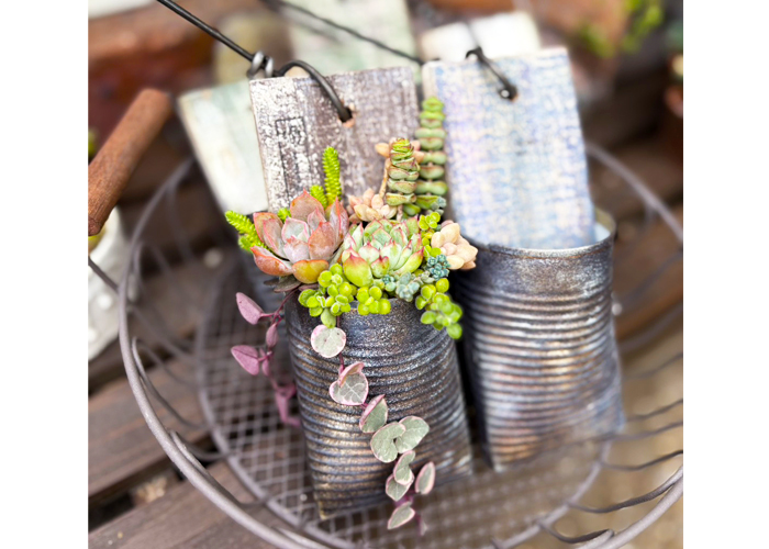 初心者向けの寄せ植え,親子鳥の鉢,多肉カフェ レッスン 多肉カフェ,多肉植物,アレンジメント,寄せ植え