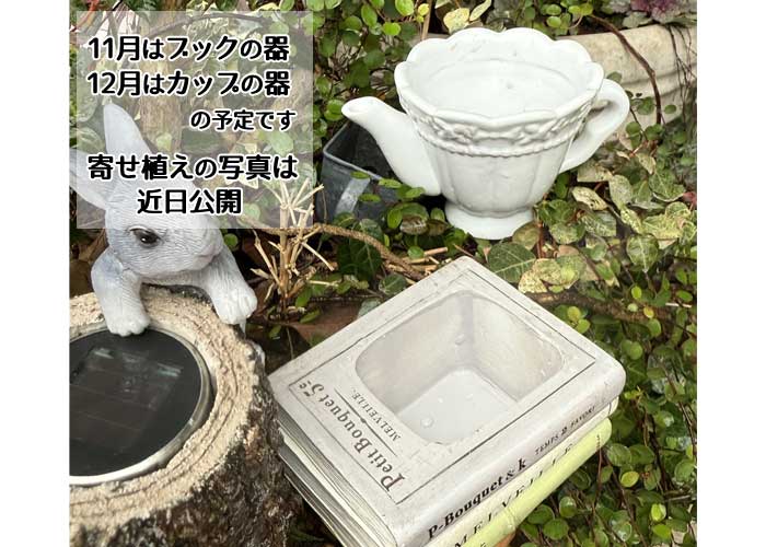 初心者向けの寄せ植え,親子鳥の鉢,多肉カフェ レッスン 多肉カフェ,多肉植物,アレンジメント,寄せ植え