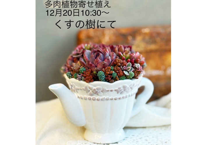 初心者向けの寄せ植え,親子鳥の鉢,多肉カフェ レッスン 多肉カフェ,多肉植物,アレンジメント,寄せ植え
