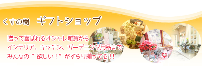 ショップくすの樹はギフトショップ。素敵な贈り物をご用意しています!