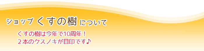 初心者もぶきっちょさんも大丈夫！ワイヤークラフト教室 くすの樹 教室と出張講座